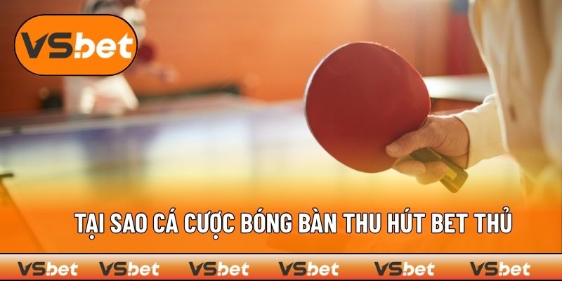 Tại sao cá cược bóng bàn thu hút bet thủ tại VSBET?