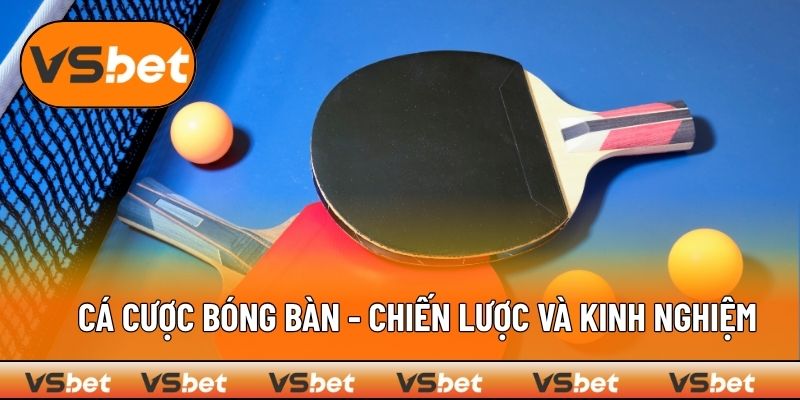 Cá Cược Bóng Bàn - Chiến Lược Và Kinh Nghiệm Từ Nền Tảng