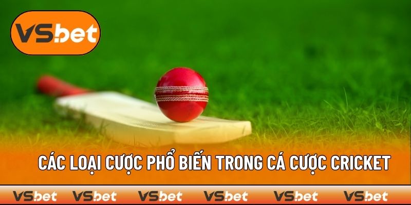 Các loại cược phổ biến trong cá cược cricket