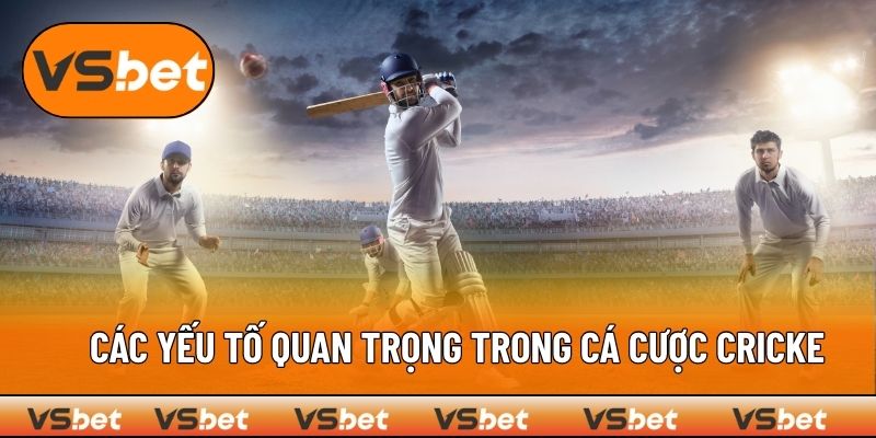 Các yếu tố quan trọng trong cá cược cricket