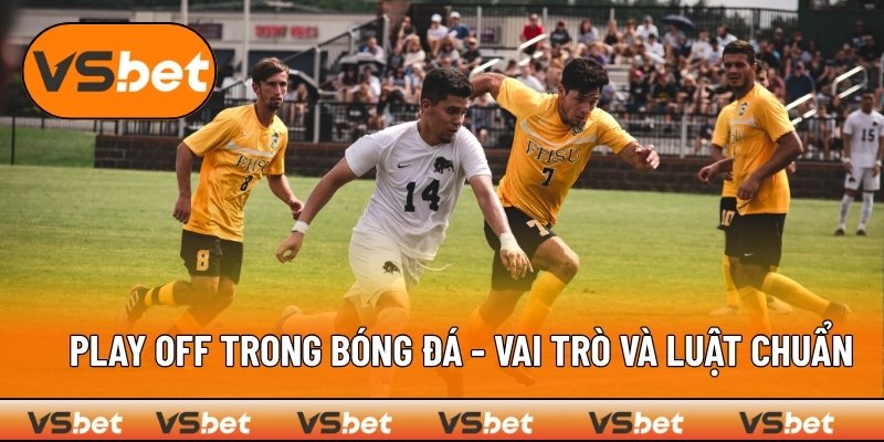 Play Off Trong Bóng Đá - Vai Trò Và Luật Chuẩn Trong 2025