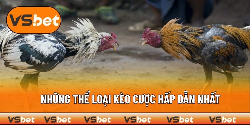Một số thể loại kèo cược chọi kê đặc sắc nhất